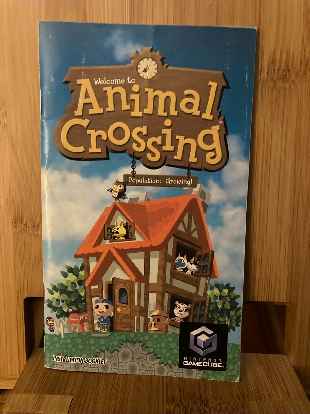 Nintendo Animal Crossing Instruction Booklet